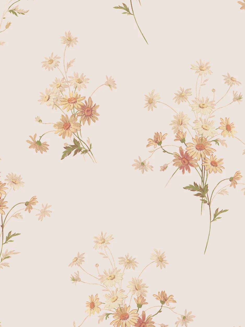 Cream Blush Daisy Bouquet Wallpaper - Image 3